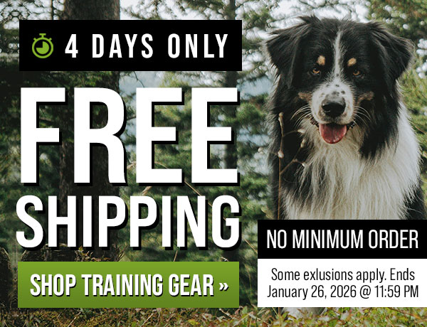 Free Shipping for 4 Days Only