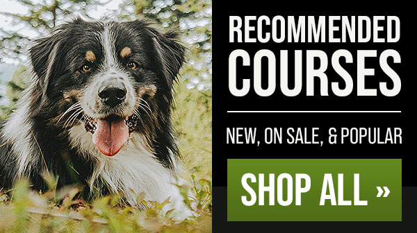 New Course: Foundations of Scent Work Training