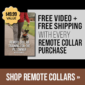 Free Video + Free Shipping with Every Remote Collar Purchase