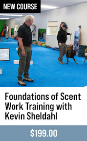 Foundations of Scent Work Training