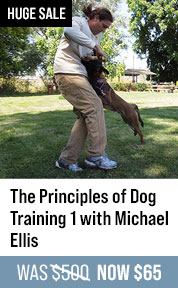 The Principles of Dog Training 1