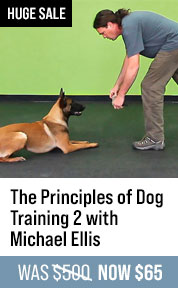 The Principles of Dog Training 2