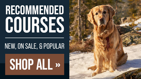 New Course: Foundations of Scent Work Training