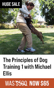 The Principles of Dog Training 1