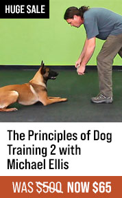 The Principles of Dog Training 2