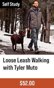 Loose Leash Walking with Tyler Muto
