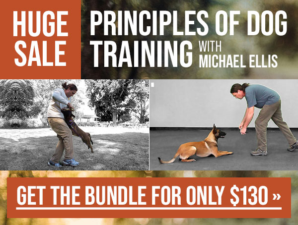 Principles of Dog Training Bundle