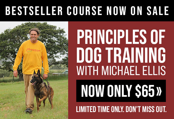 Principles of Dog Training Now $65 Each