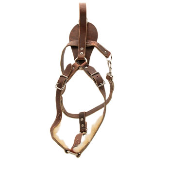 Latigo Leather Police Agitation / Tracking Harness