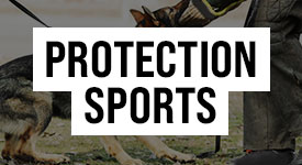 Shop Protection Sports Gear