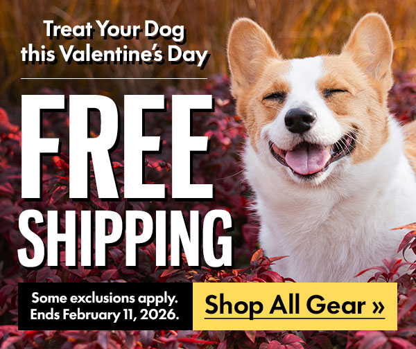 Free Shipping for a Limited Time Only