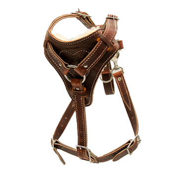 2 Snap Agitation Leather Harness with Handle