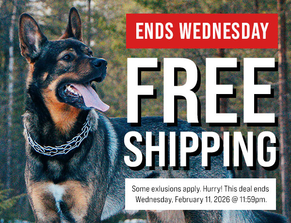 Free Shipping for a Limited Time Only