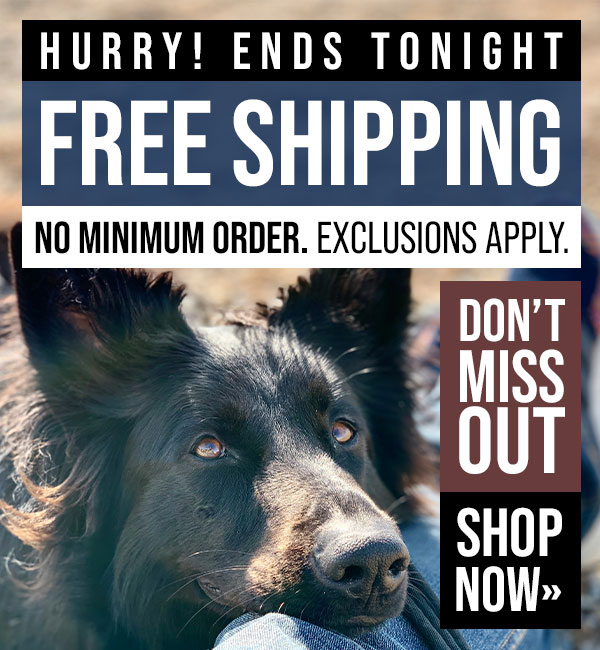 Free Shipping for a Limited Time Only
