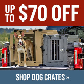 K9 Kennel Boss – Collapsible Dog Crate