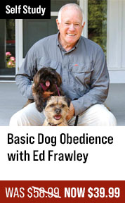 Basic Dog Obedience