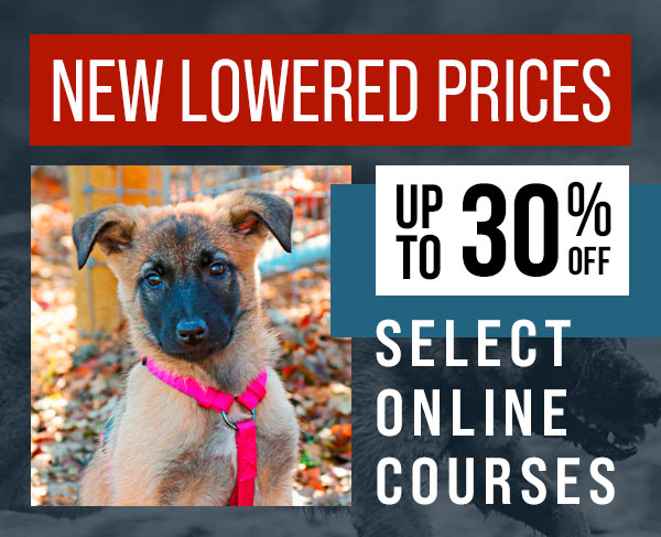 Free Shipping for a Limited Time Only