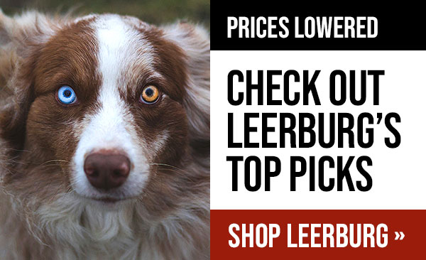 Leerburg's Top Picks