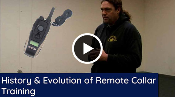 History and Evolution of Remote Collar Purpose with Michael Ellis