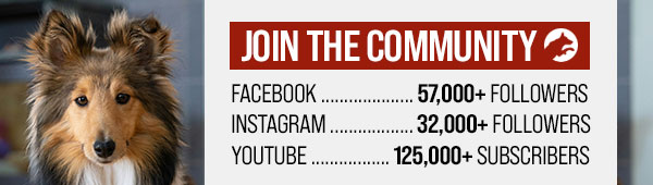 Join our growing community!