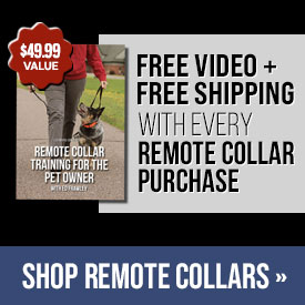 Free Video + Free Shipping with Every Remote Collar Purchase