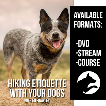 Hiking Etiquette With Your Dogs