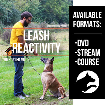 Leash Reactivity with Tyler Muto