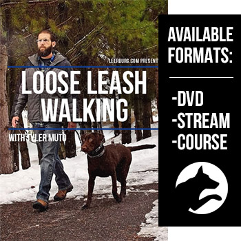 Loose Leash Walking with Tyler Muto