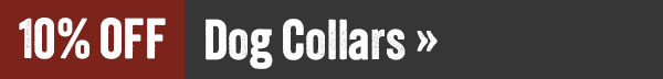 10% Off Dogs Collars