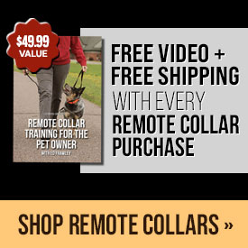 Free Video + Free Shipping with Every Remote Collar Purchase