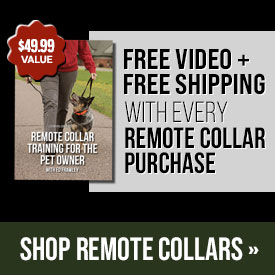 Free Video + Free Shipping with Every Remote Collar Purchase