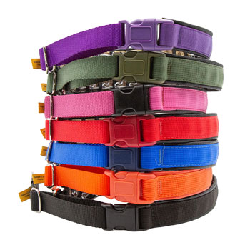 Keeper Collars Hidden Prong with Snap