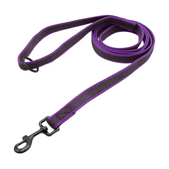 3/4-in No Slip Leash - 6ft