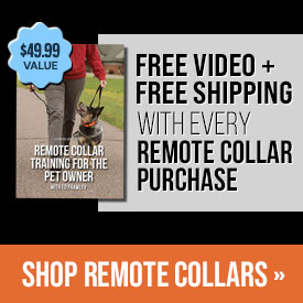Free Video + Free Shipping with Every Remote Collar Purchase