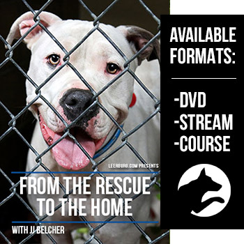 From the Rescue to the Home with JJ Belcher