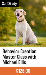 Behavior Creation Master Class with Michael Ellis
