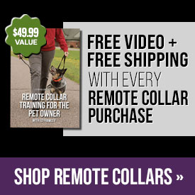 Free Video + Free Shipping with Every Remote Collar Purchase