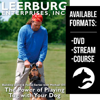 The Power of Playing Tug w/ Your Dog