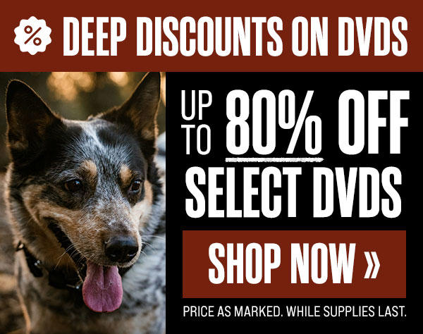 Spring Clearance Sale