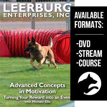 Advanced Concepts in Motivation w/ Michael Ellis