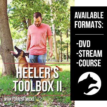 Heeler's Toolbox II with Forrest Micke