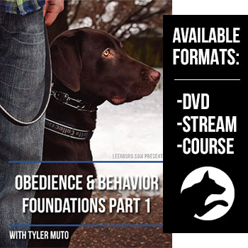 Obedience and Behavior Foundations Part I with Tyler Muto