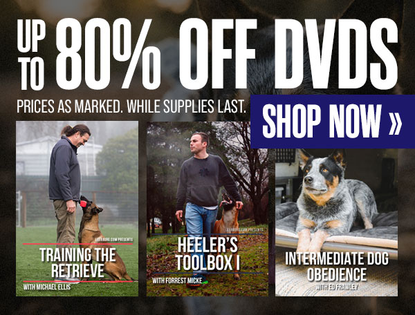 Spring Clearance Sale