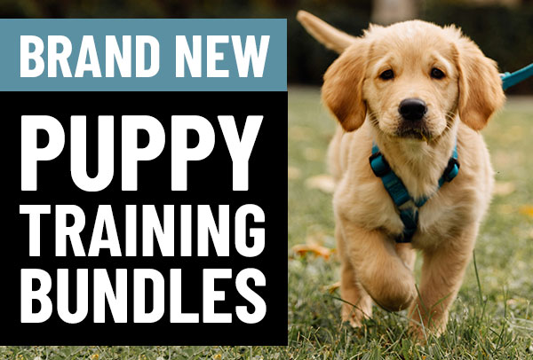 Spring Clearance Sale