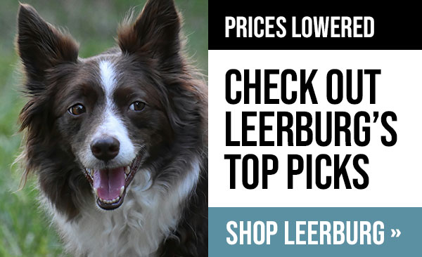 New Items at Leerburg