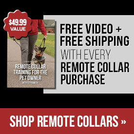 Free Video + Free Shipping with Every Remote Collar Purchase