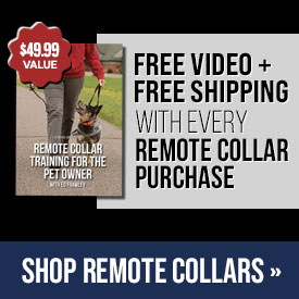 Free Video + Free Shipping with Every Remote Collar Purchase
