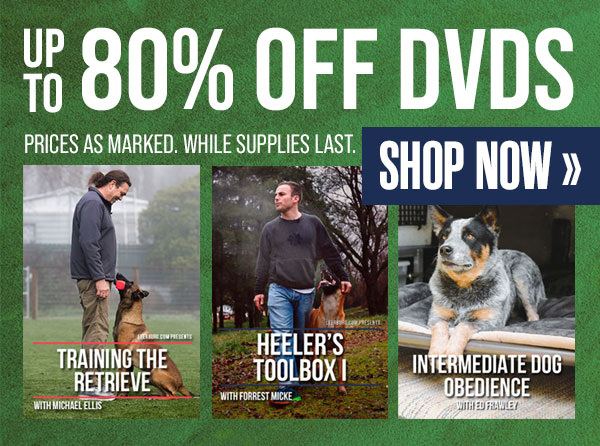 Up to 80% Off DVDs