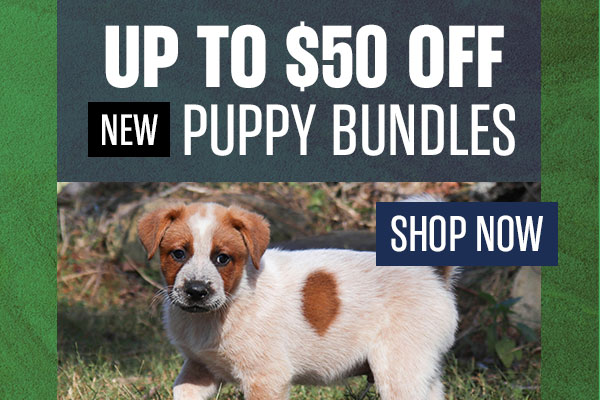 Puppy Training Bundles