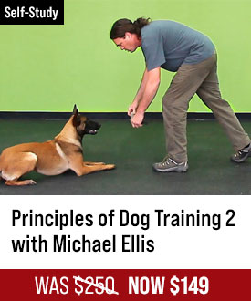The Principles of Dog Training 2